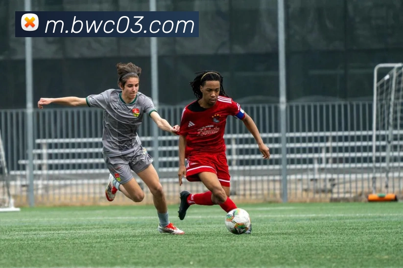 bwin必赢亚洲官网平台品牌故事