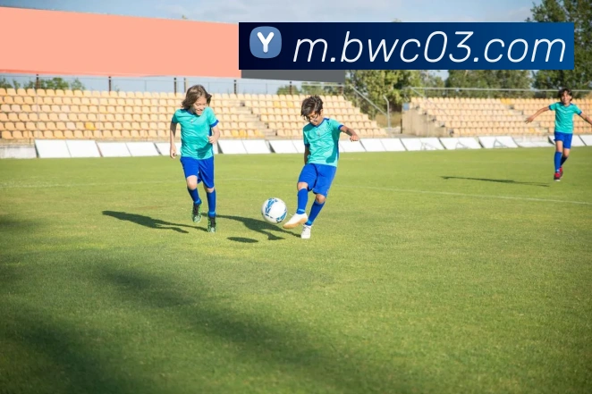 bwin必赢亚洲官网平台APP 体育赛事宣传图